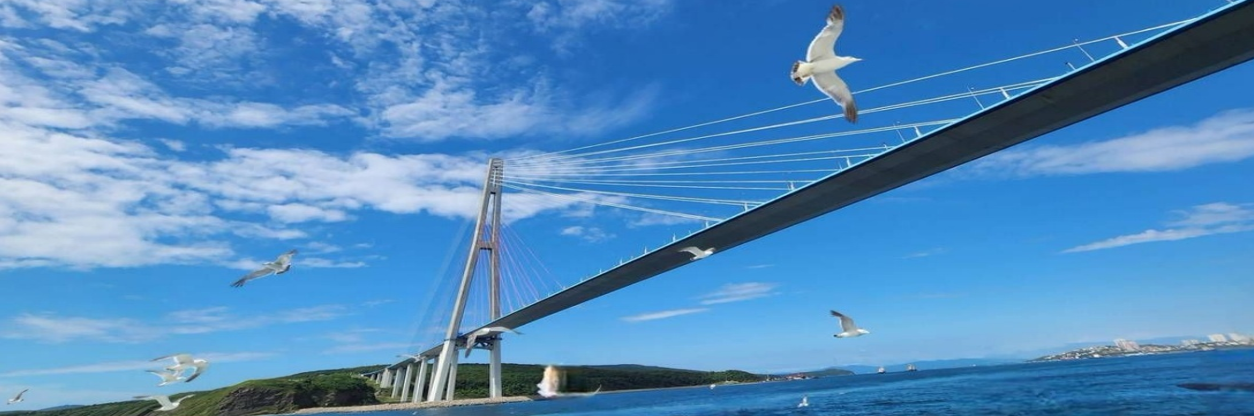 飯店出發 → 托卡列夫斯基燈塔欣賞海岸風光 → 凱旋門與 C-56 紅旗潛水艇參觀歷史記憶 → 船站碼頭搭乘遊艇暢遊港灣 → 金角灣巡航、登有軌纜車至鷹嘴眺望台俯瞰金角灣大橋 → 卡琳娜大商場購物休閒 → 前往海參崴機場搭乘中國國航 CA-812 （18:10 起飛，歷時 2H40）返抵北京首都機場第 3 航廈