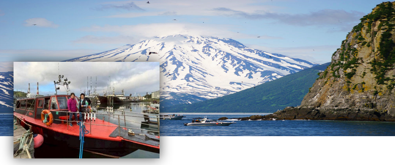 阿瓦查海灣巡航之旅 — 乘船出海垂釣、暢遊壯麗港灣