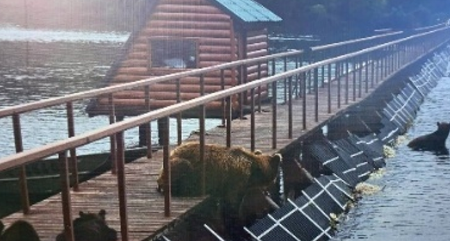 庫頁湖國家公園遊船之旅