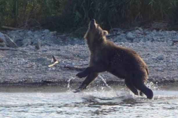 庫頁湖國家公園遊船之旅