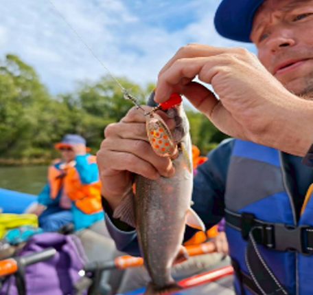 堪察加森林森林溪流垂釣