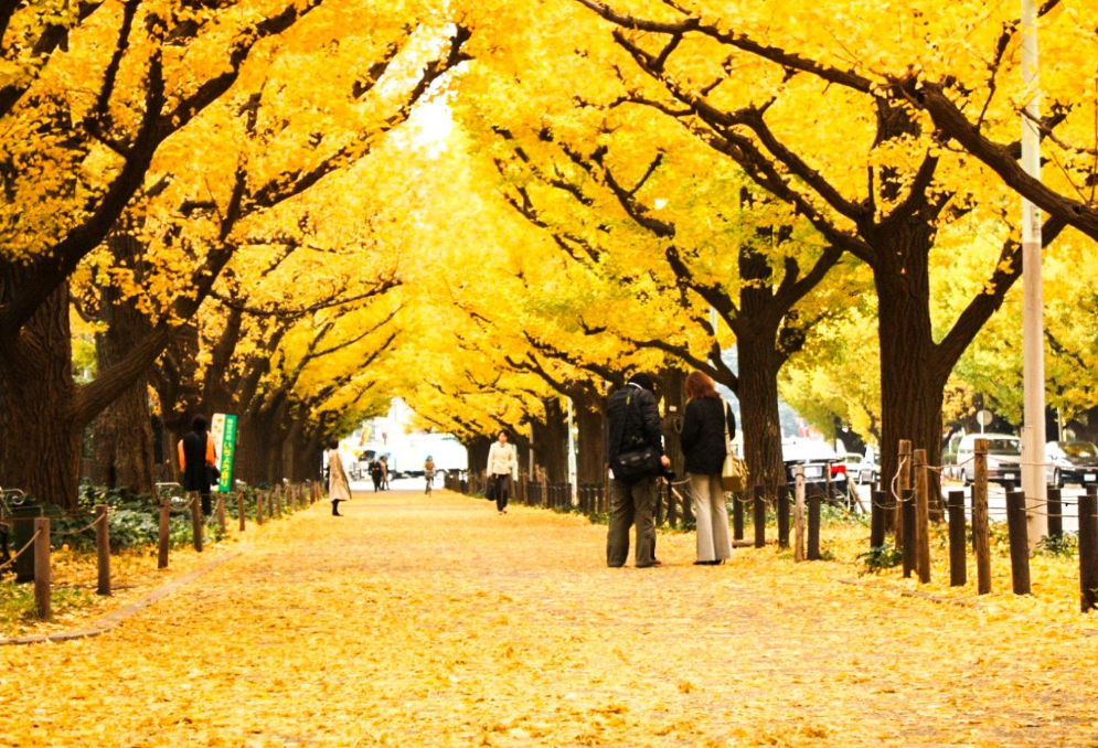新都橋攝影天堂