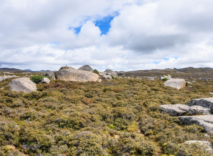 海子山自然保護區