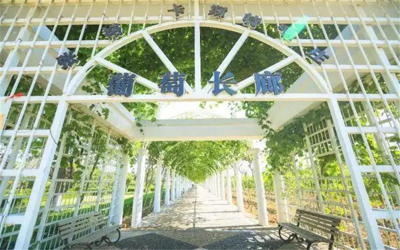 張裕卡斯特酒莊