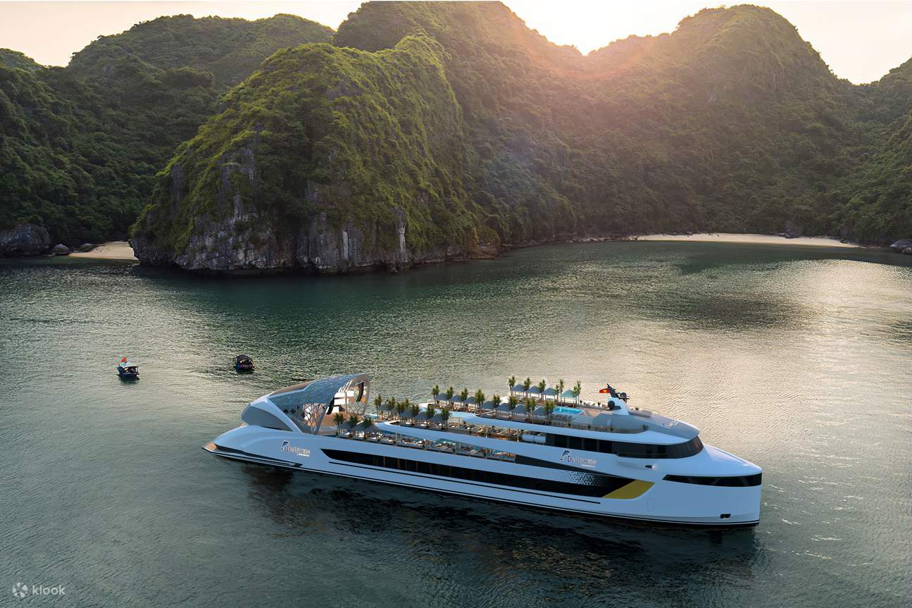 潮奢盛世海豚郵輪 Dolphin Day Cruise